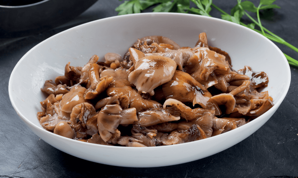 Funghi chiodini Armillaria Mellea