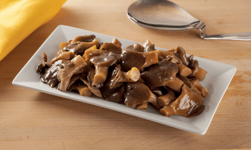 Funghi Pleurotus trifolati